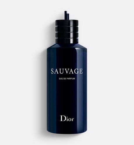 dior mannengeur